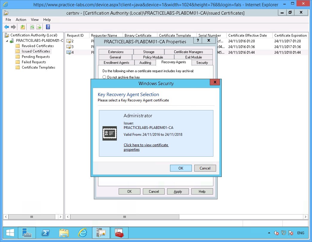 Practice Labs screenshot.